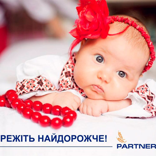 Носости