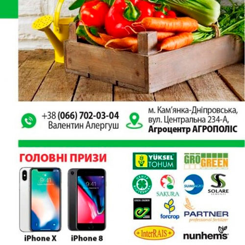 Носости