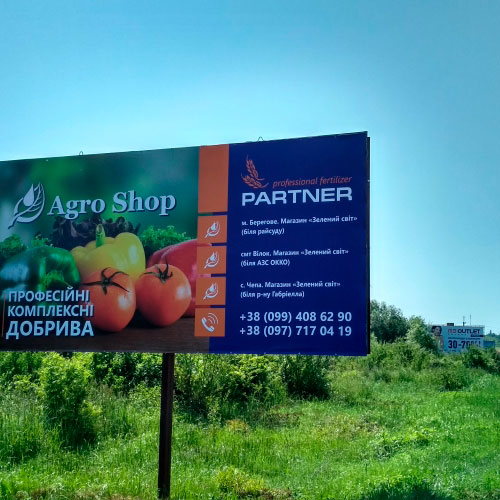 Носости